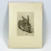 Pamono After Albrecht Dürer, Young Hare, Copperplate Engraving, 19th Century> Classical