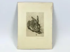 Pamono After Albrecht Dürer, Young Hare, Copperplate Engraving, 19th Century> Classical