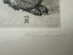 Pamono After Albrecht Dürer, Young Hare, Copperplate Engraving, 19th Century><noscript><img width=