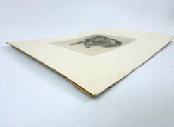 Pamono After Albrecht Dürer, Young Hare, Copperplate Engraving, 19th Century><noscript><img width=
