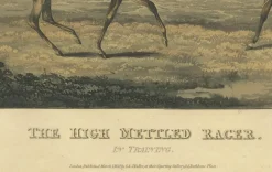 Pamono After Alken, High Mettled Racer: In Training, 19th Century, Print> Prints & Multiples