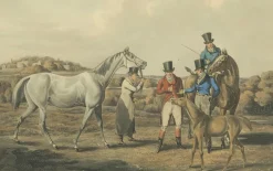 Sale Pamono After Alken, High Mettled Racer: The Foal, 19th Century, Print