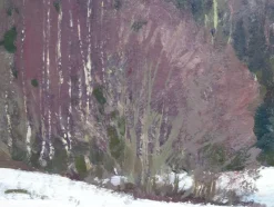 Pamono Alfejs Bromults, Forest Edge at Winter, 1983, Oil on Cardboard><noscript><img width=