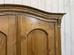 New Pamono Alsatian Fir Wardrobe, 1800s