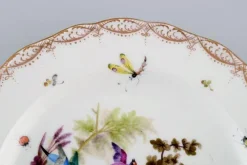 Hot Pamono Antique and Meissen Porcelain Plate with Hand-Painted Birds and Insects