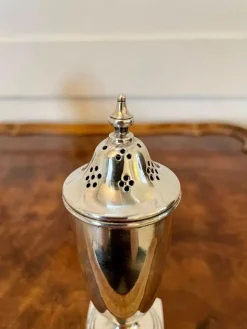 Outlet Pamono Antique Cased Sterling Silver Condiment Set, Set of 4