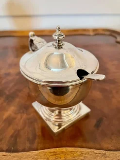 Outlet Pamono Antique Cased Sterling Silver Condiment Set, Set of 4