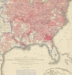 Sale Pamono Antique Chart of the Us Enteric, Cerebro-Spinal, Typhus Deaths, 1874
