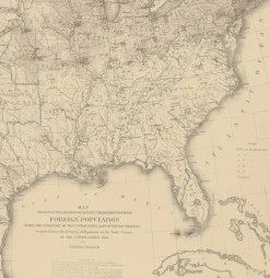 Pamono Antique Chart of the US Foreign Population in 1870