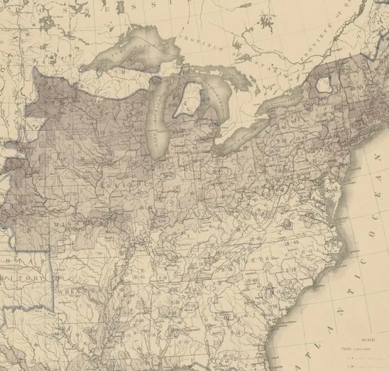 Pamono Antique Chart of the US Foreign Population Proportion in 1870, 1874> Wall Decor