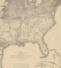 Pamono Antique Chart of the US Foreign Population Proportion in 1870, 1874><noscript><img width=