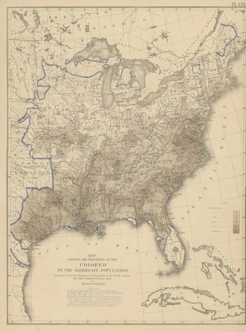 Pamono Antique Chart of the US Population Proportion, 1874> Wall Decor