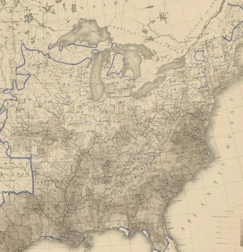 Pamono Antique Chart of the US Population Proportion, 1874> Wall Decor