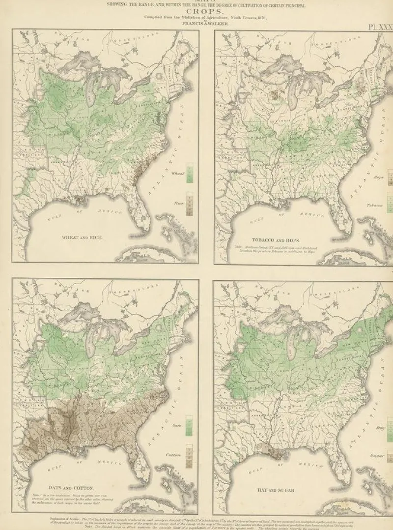 Pamono Antique Chart of US Crops, Wheat, Rice, Tobacco, Hops, and Oats, 1874