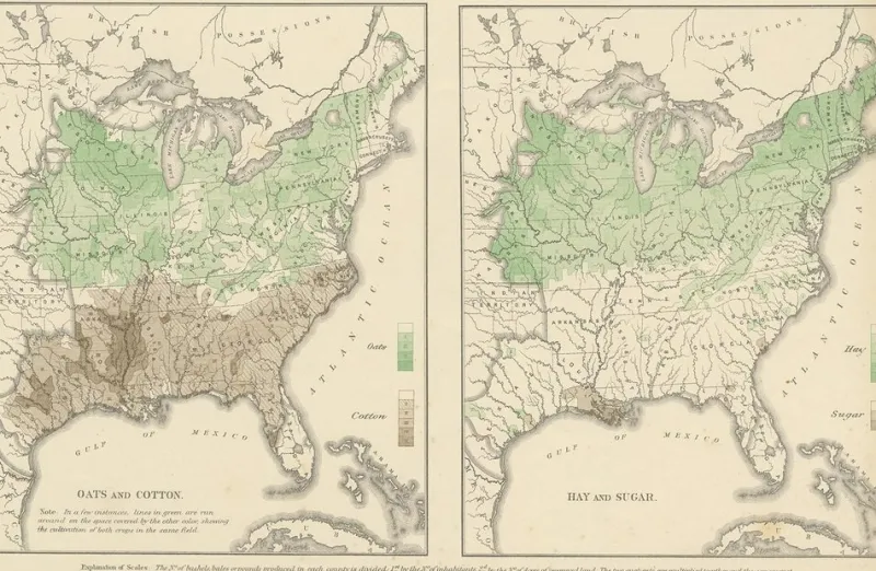 Pamono Antique Chart of US Crops, Wheat, Rice, Tobacco, Hops, and Oats, 1874