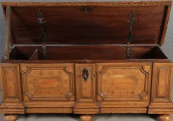 Outlet Pamono Antique Chest in Walnut, 1730