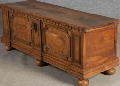 Outlet Pamono Antique Chest in Walnut, 1730