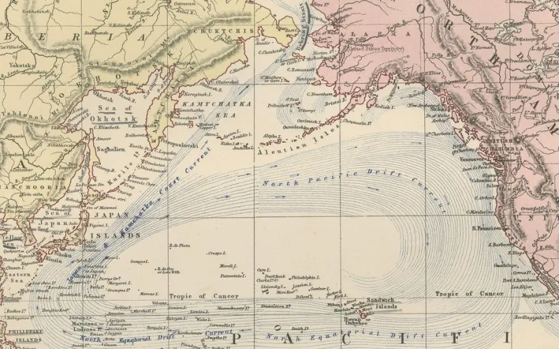 Pamono Antique Decorative World Map, 1884> Wall Decor