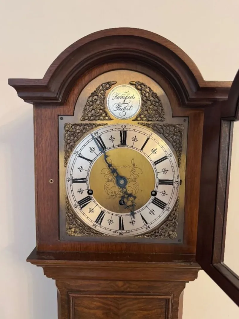 Pamono Antique Edwardian Grandmother Clock in Burr Walnut by Mappin and Webb, 1900> Clocks