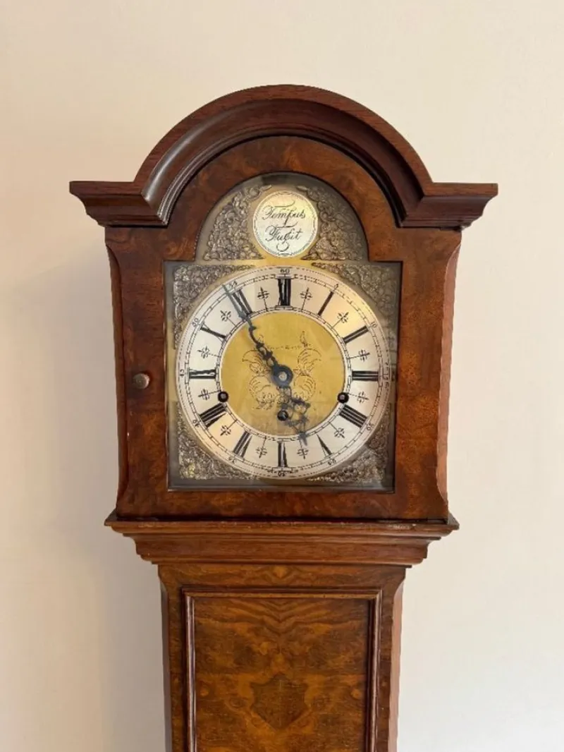 Pamono Antique Edwardian Grandmother Clock in Burr Walnut by Mappin and Webb, 1900> Clocks