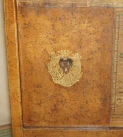Pamono Antique Edwardian Leather Clad & Embossed Fire Screen with Map Decoration, 1900><noscript><img width=