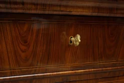 Pamono Antique Empire Lucchese Chest of Drawers in Walnut Burl, 19th Century><noscript><img width=
