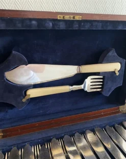 Pamono Antique Fish Cutlery Set in Original Case by Finnigans, 1890s><noscript><img width=