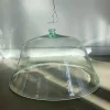 Pamono Antique French Cloche de Melon, 19th Century> Garden Accessories