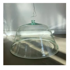 Pamono Antique French Cloche de Melon, 19th Century><noscript><img width=
