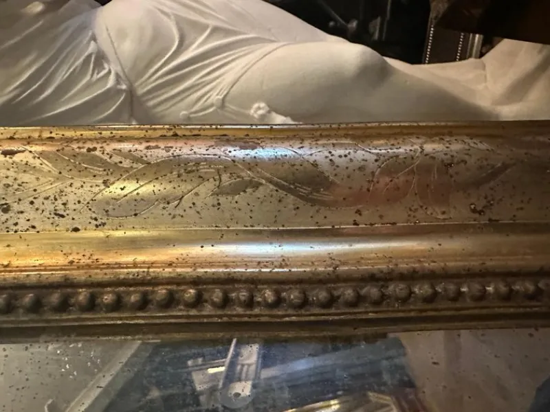 New Pamono Antique French Louis Philippe Domed Topped Gold Gilt Mirror, 1850