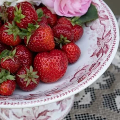Clearance Pamono Antique French Transferware Footed Plate Cerise from Badonviller, 1890s