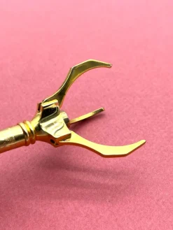 Hot Pamono Antique Gold-Plated Sugar Tongs with Decorated Handle, 1890s