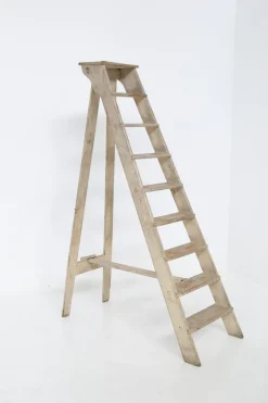 Pamono Antique Italian Beige Wood Ladder, 1920s