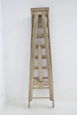 Pamono Antique Italian Beige Wood Ladder, 1920s