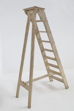 Pamono Antique Italian Beige Wood Ladder, 1920s
