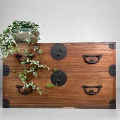 Pamono Antique Japanese Meiji Tansu Chest of Drawers, 1900s><noscript><img width=