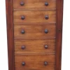 Best Pamono Antique Mahogany Wellington Chest of 7 Drawers, 19th Century