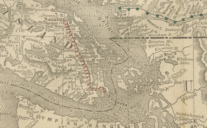 Pamono Antique Map of British Columbia, 1888> Wall Decor