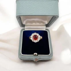 Pamono Antique Marguerite Ring in Gold, Garnet and Diamonds, 1910> Rings