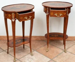 Pamono Antique Napoleon III Bedside Tables in Exotic Fine Woods, France, 19th Century, Set of 2><noscript><img width=