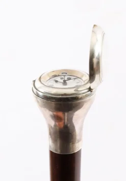 Pamono Antique Silver and Snakewood Watch Opera Cane, 1800s><noscript><img width=