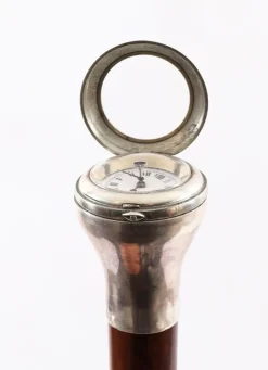 Pamono Antique Silver and Snakewood Watch Opera Cane, 1800s><noscript><img width=