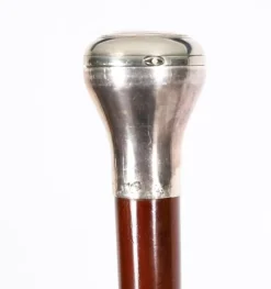 Pamono Antique Silver and Snakewood Watch Opera Cane, 1800s><noscript><img width=