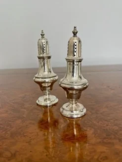 Pamono Antique Silver Salt & Pepper Pots, 1910s, Set of 2