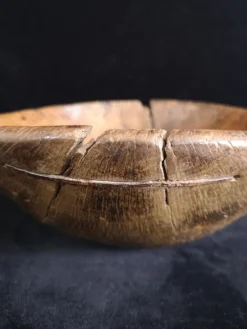 New Pamono Antique Spanish Holm Oak Bowl, 1800