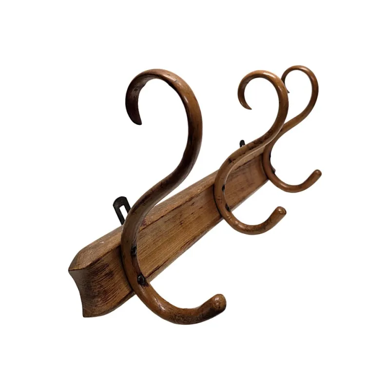 Best Pamono Antique Thonet Wall Coat Rack Made of Bentwood, Early 1900s by Michael Thonet, 1890s