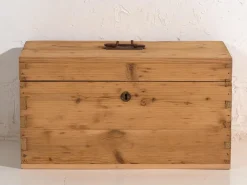 Pamono Antique Travel Chest, 1920s><noscript><img width=