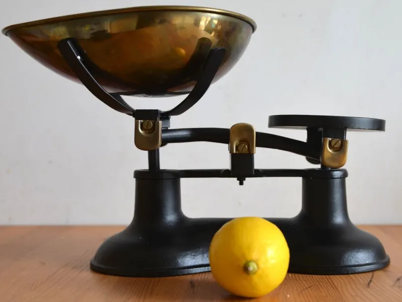 Pamono Antique Victor Scale by Robert Welch> Electronics