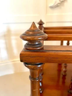 Online Pamono Antique Victorian Figured Walnut Magazine Stand