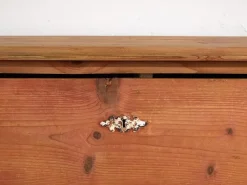 Pamono Antique Wood Chest of Drawers, 1920s><noscript><img width=